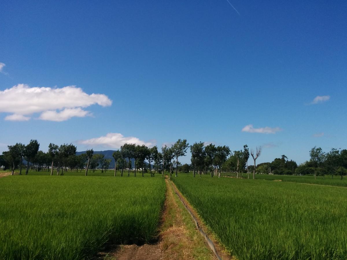 Iwamuro Slow Hostel Niigata Ngoại thất bức ảnh