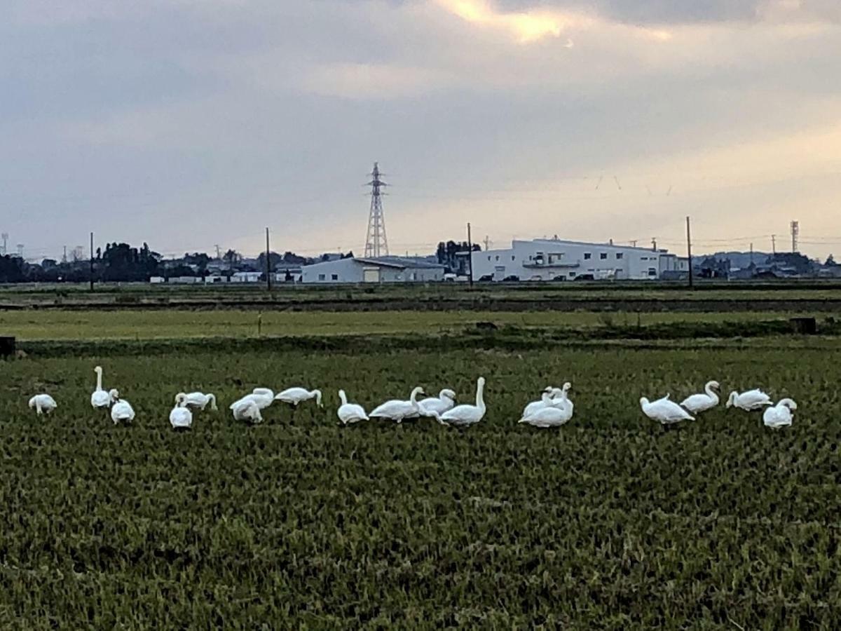 Iwamuro Slow Hostel Niigata Ngoại thất bức ảnh